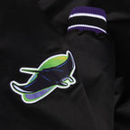 MLB Tampa Bay Devil Rays Satin Jacket  Logo, JacketnJoint